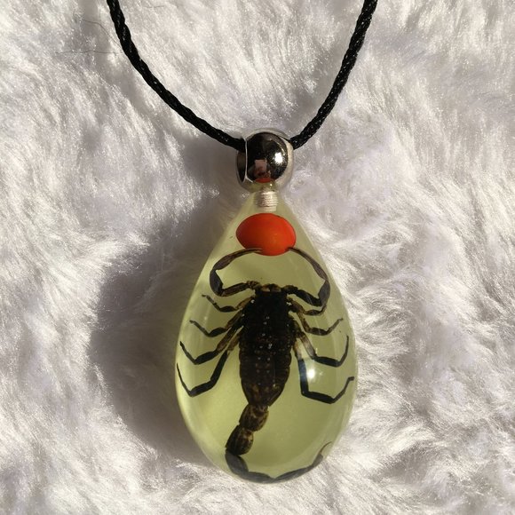 Scorpion Amber Pendant - Etsy CUSTOM pendant, scorpion amber jewelry from nature